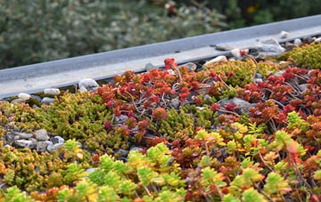 the cost of Kentmere green roof installation